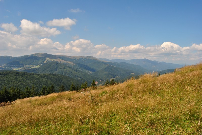 pepajs.cz